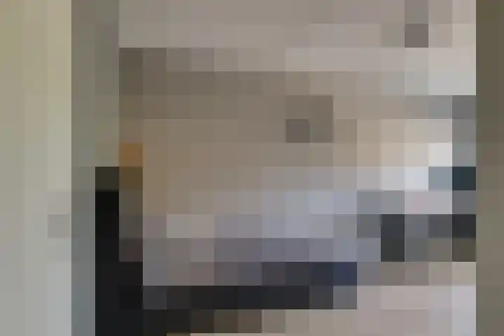 De Linge 17 Naaldwijk thumbnail 26