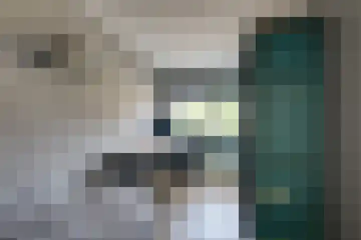 De Linge 17 Naaldwijk thumbnail 27