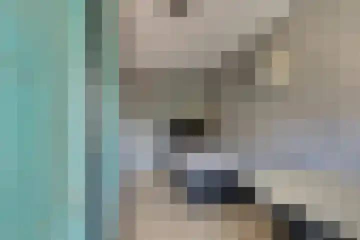 De Linge 17 Naaldwijk thumbnail 28