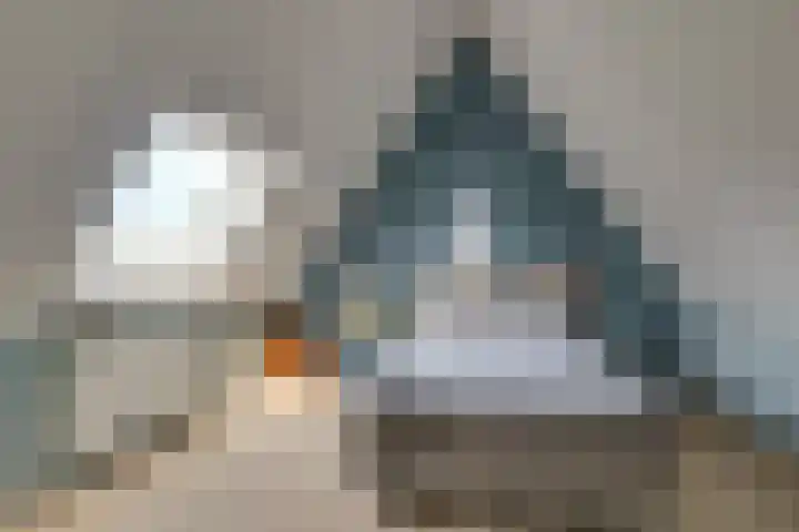 De Linge 17 Naaldwijk thumbnail 32