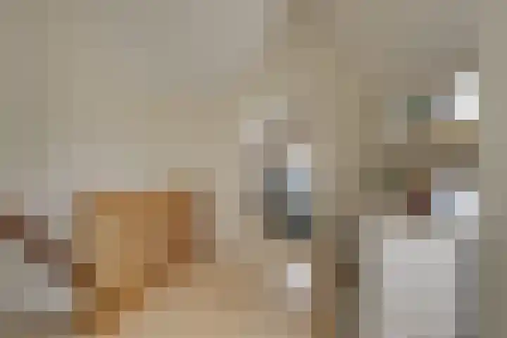 De Linge 17 Naaldwijk thumbnail 34