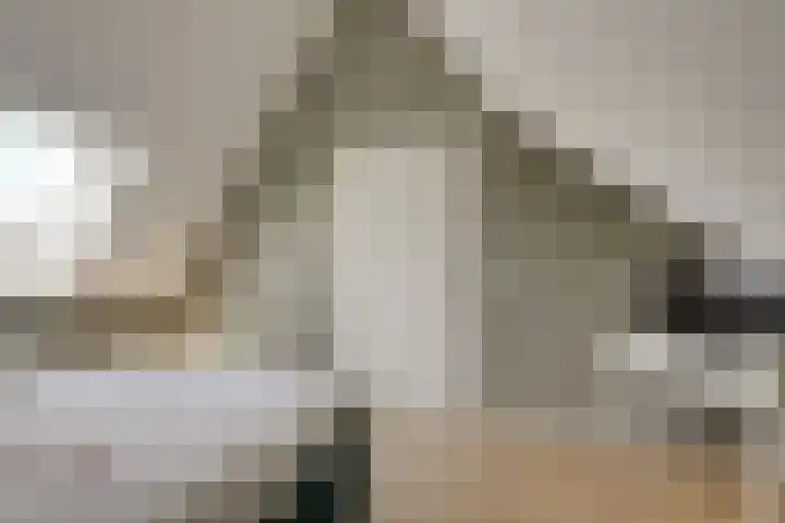 De Linge 17 Naaldwijk thumbnail 36