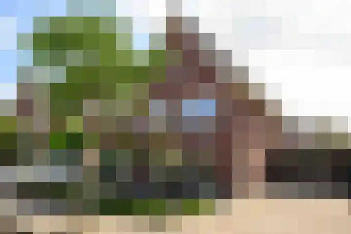 De Linge 17 Naaldwijk thumbnail 38