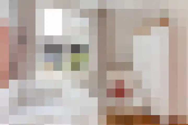 de Linge 22 Woerden thumbnail 17