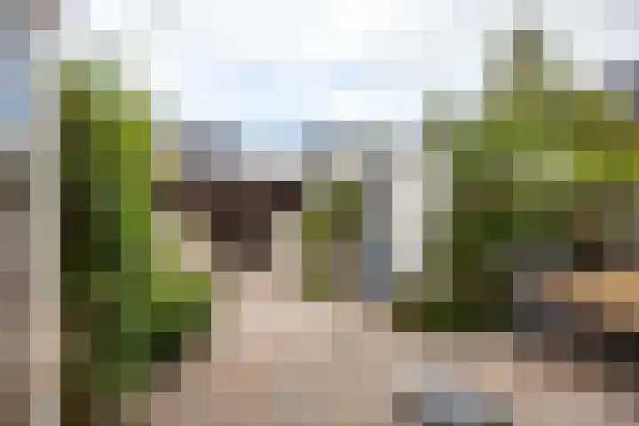 de Linge 22 Woerden thumbnail 23