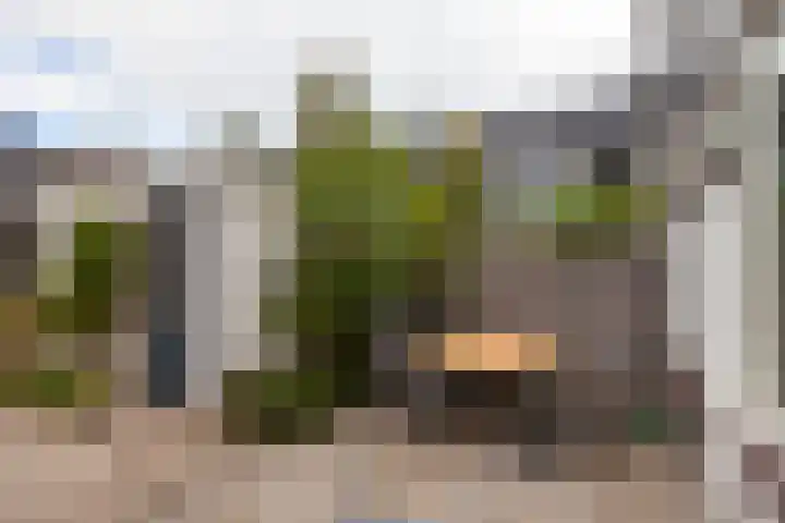 de Linge 22 Woerden thumbnail 24