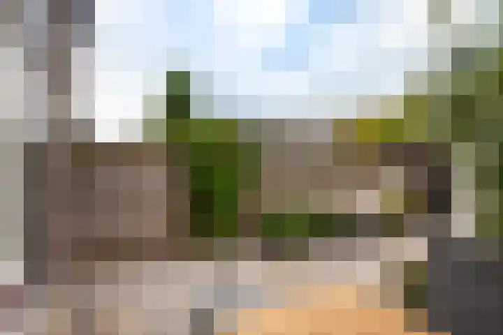 de Linge 22 Woerden thumbnail 25
