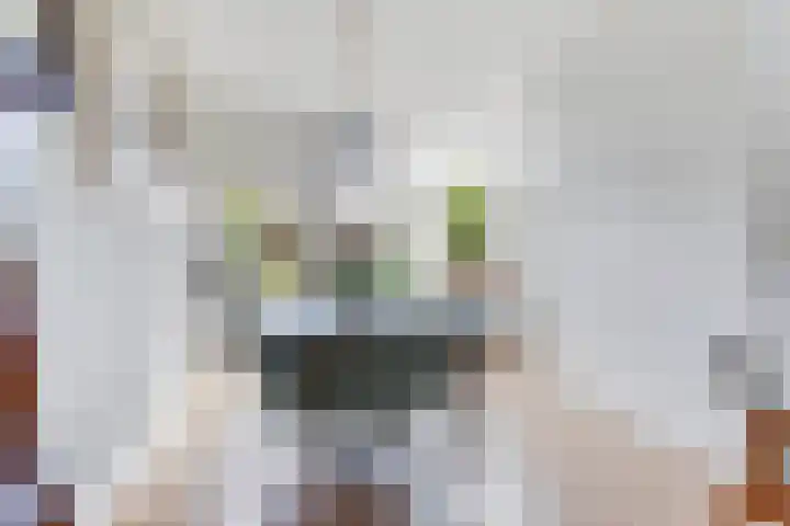 de Linge 22 Woerden thumbnail 8