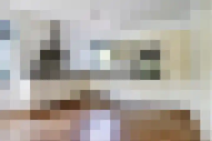 de Lingert 5155 Wijchen thumbnail 12