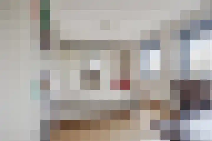 de Lingert 5155 Wijchen thumbnail 22