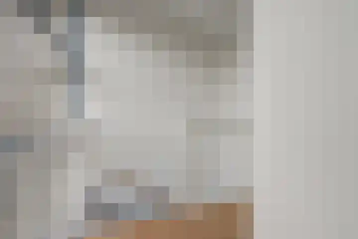 de Lingert 5155 Wijchen thumbnail 37