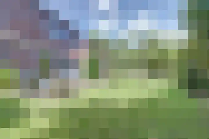 de Lingert 5155 Wijchen thumbnail 46