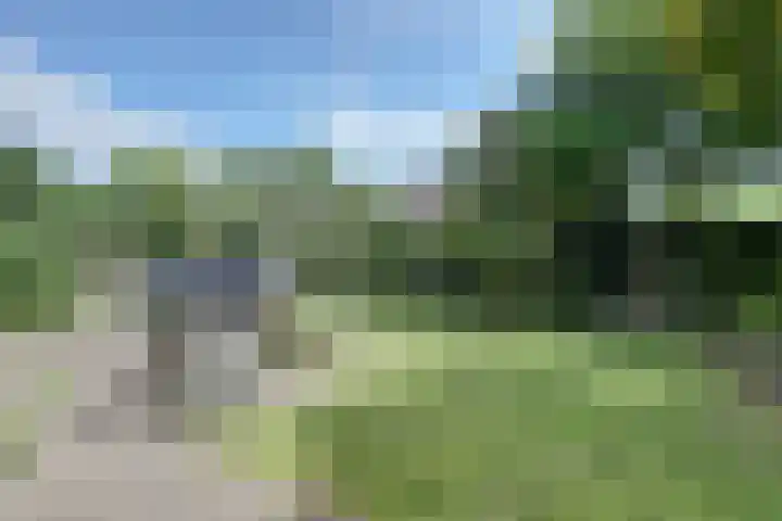 de Lingert 5155 Wijchen thumbnail 47