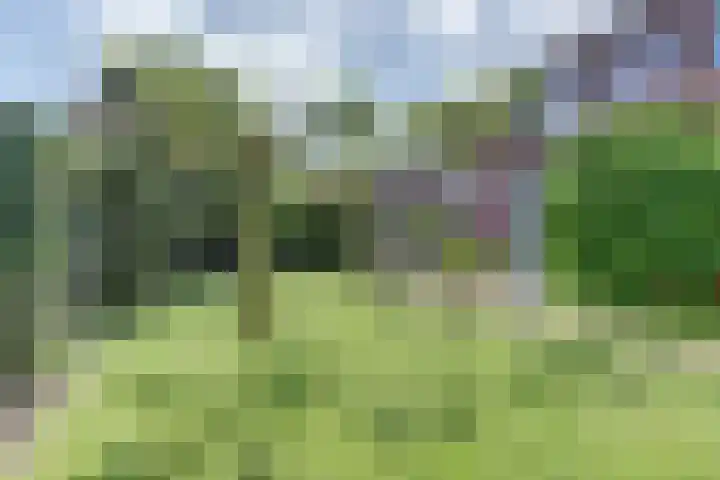 de Lingert 5155 Wijchen thumbnail 48