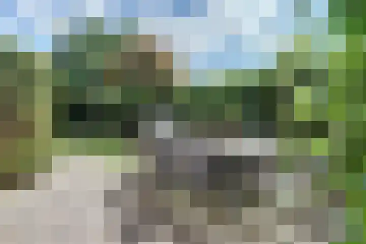 de Lingert 5155 Wijchen thumbnail 53