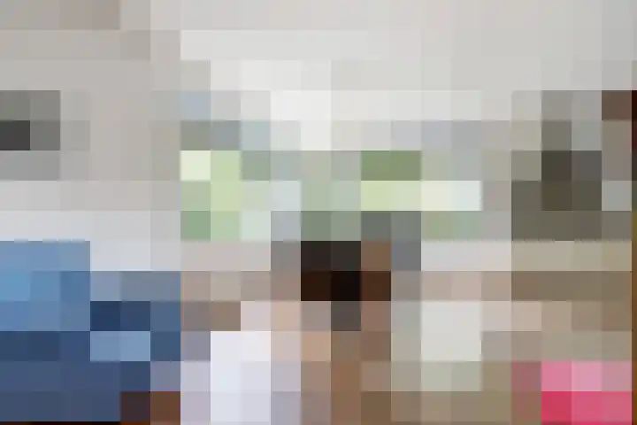 de Lingert 5155 Wijchen thumbnail 7