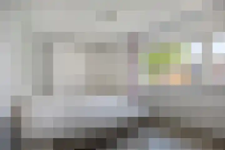 de Lingert 5506 Wijchen thumbnail 13