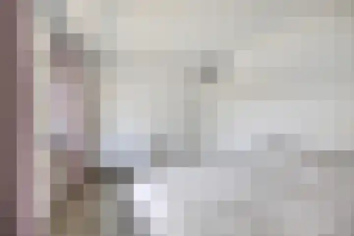 de Lingert 5506 Wijchen thumbnail 14