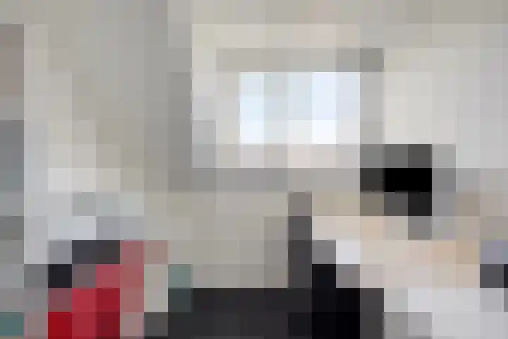 de Lingert 5506 Wijchen thumbnail 25