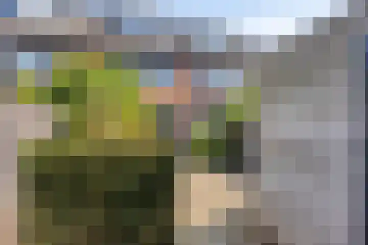 de Lingert 5506 Wijchen thumbnail 33