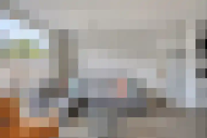 de Lingert 5506 Wijchen thumbnail 4
