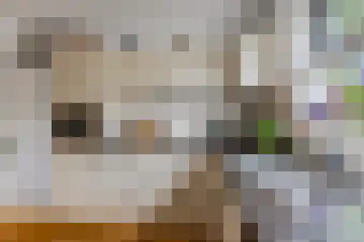 de Lingert 6009 Wijchen thumbnail 12