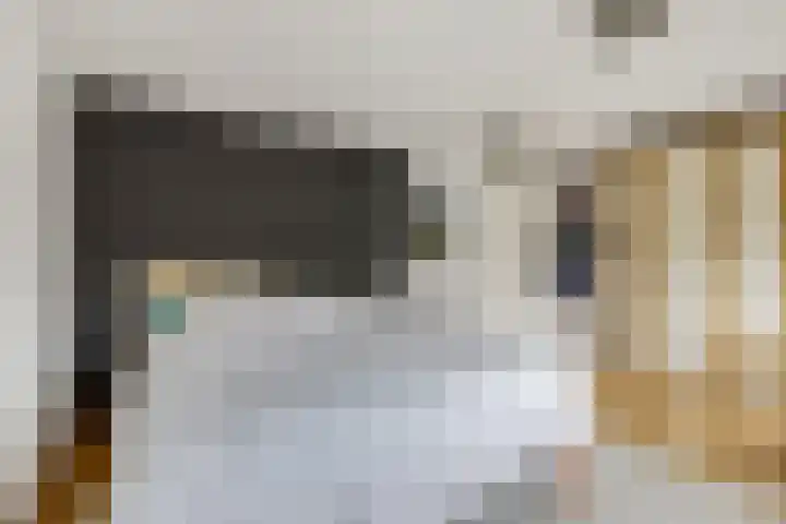 de Lingert 6009 Wijchen thumbnail 16