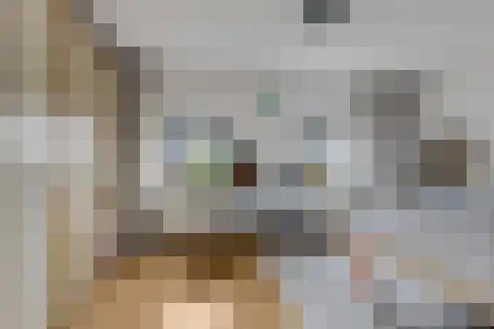 de Lingert 6009 Wijchen thumbnail 17
