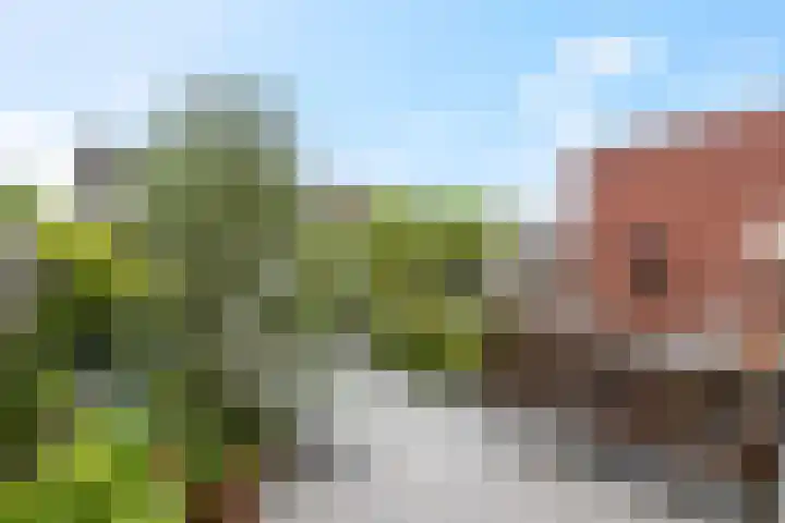 de Lingert 6009 Wijchen thumbnail 26