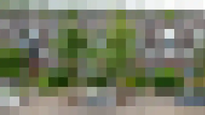 de Lingert 6009 Wijchen thumbnail 27