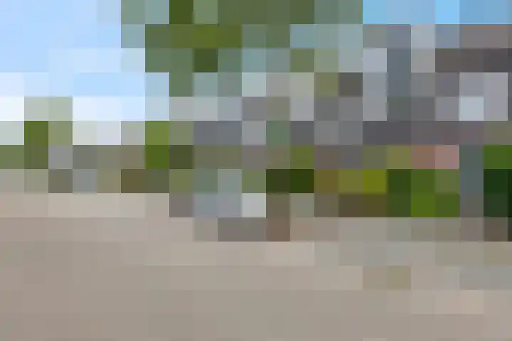 de Lingert 6009 Wijchen thumbnail 29