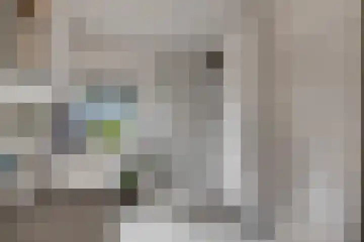 de Lingert 6009 Wijchen thumbnail 5