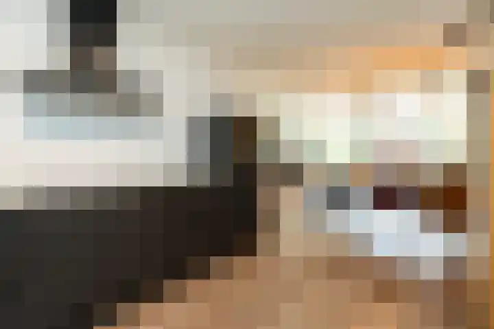 de Lingert 6015 Wijchen thumbnail 11