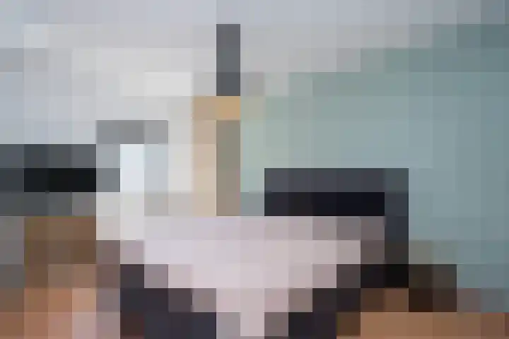 de Lingert 6015 Wijchen thumbnail 13