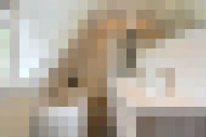 de Lingert 6015 Wijchen thumbnail 20