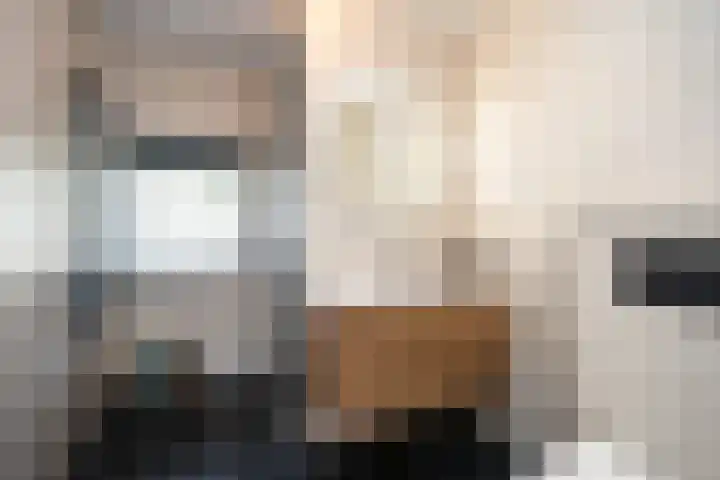 de Lingert 6015 Wijchen thumbnail 20