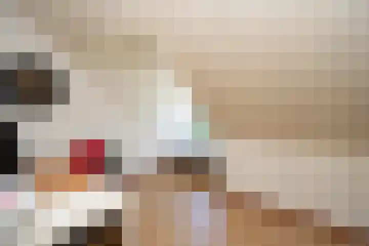 de Lingert 6015 Wijchen thumbnail 23