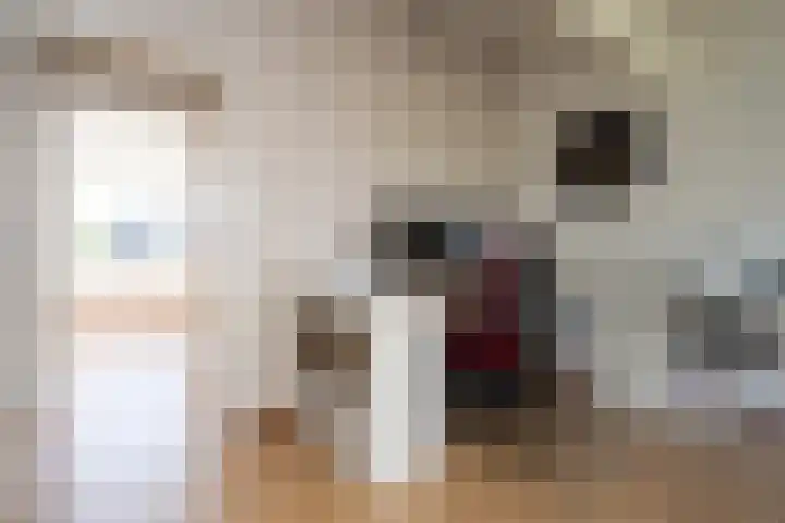 de Lingert 6015 Wijchen thumbnail 25