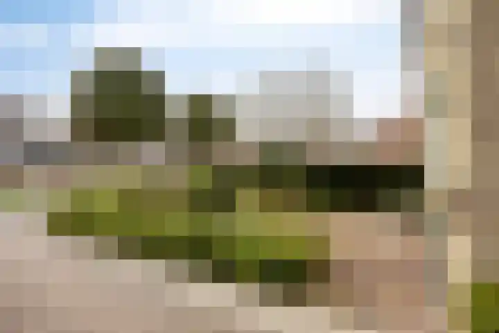 de Lingert 6015 Wijchen thumbnail 28