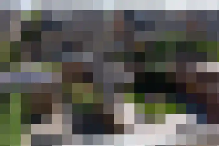 de Lingert 6015 Wijchen thumbnail 30