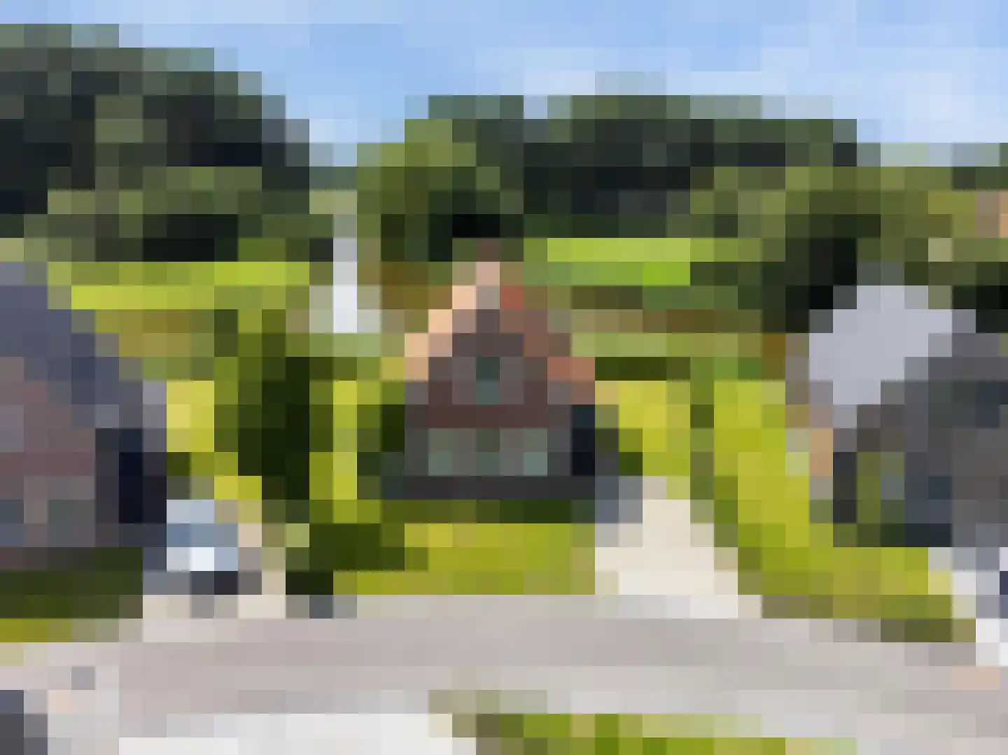 de Lingert 6015 Wijchen thumbnail 34