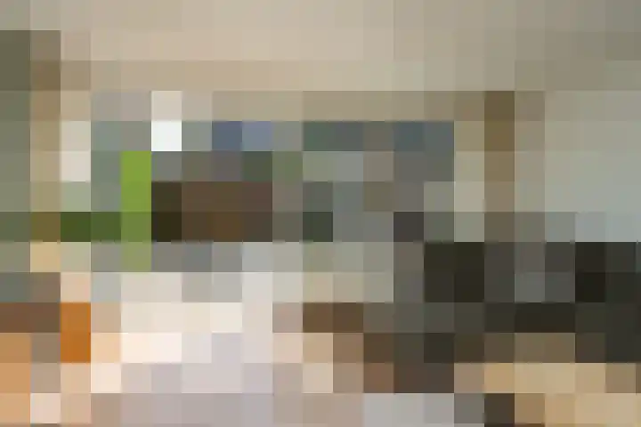 de Lingert 6015 Wijchen thumbnail 4