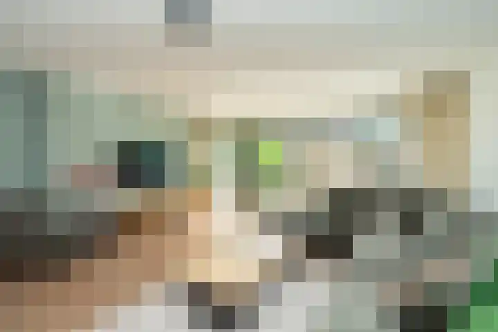 de Lingert 6015 Wijchen thumbnail 5