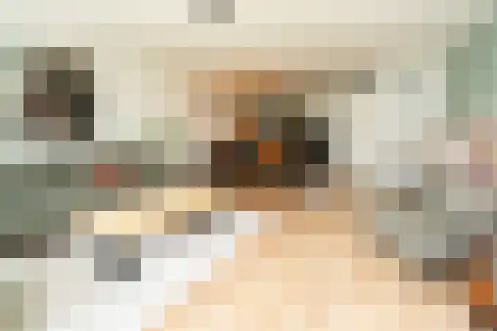 de Lingert 6015 Wijchen thumbnail 6