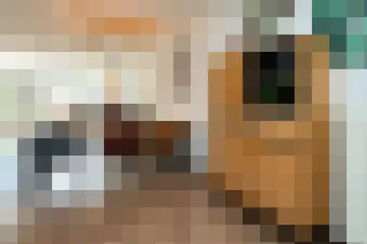de Lingert 6015 Wijchen thumbnail 8