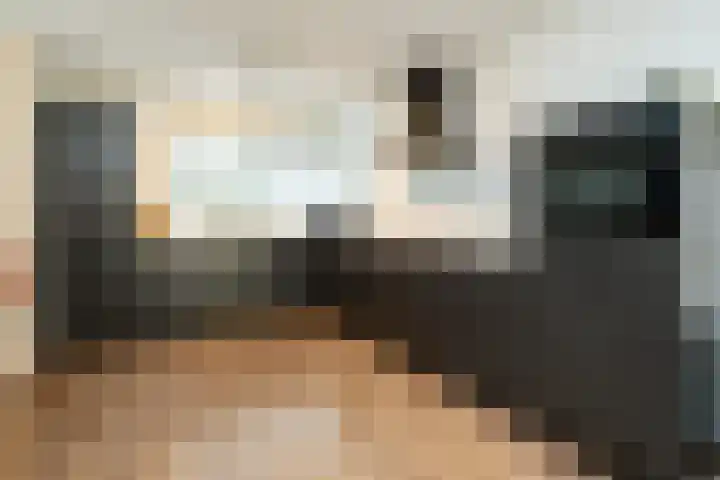 de Lingert 6015 Wijchen thumbnail 9