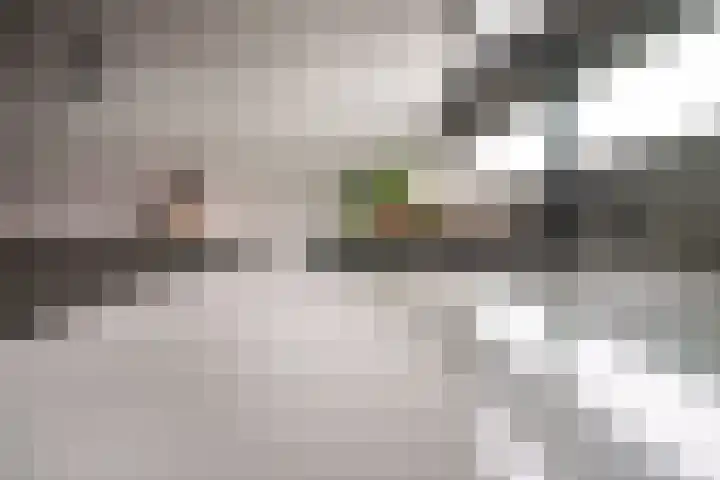 de Lingert 6025 Wijchen thumbnail 10