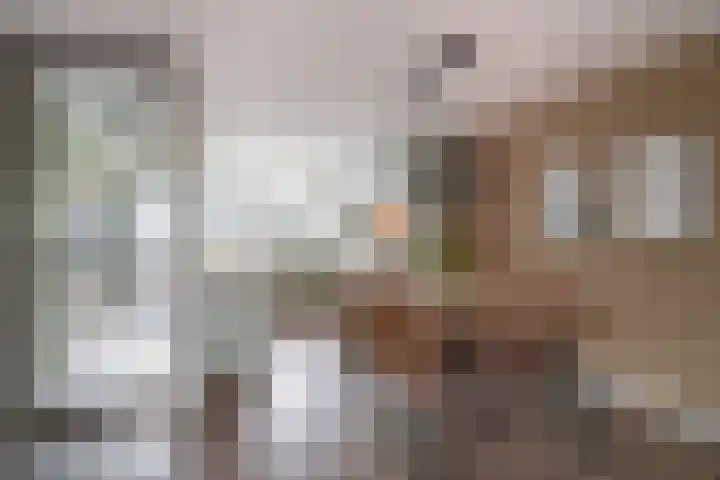 de Lingert 6025 Wijchen thumbnail 14
