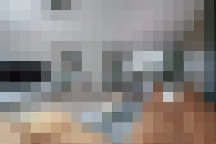 de Lingert 6025 Wijchen thumbnail 22