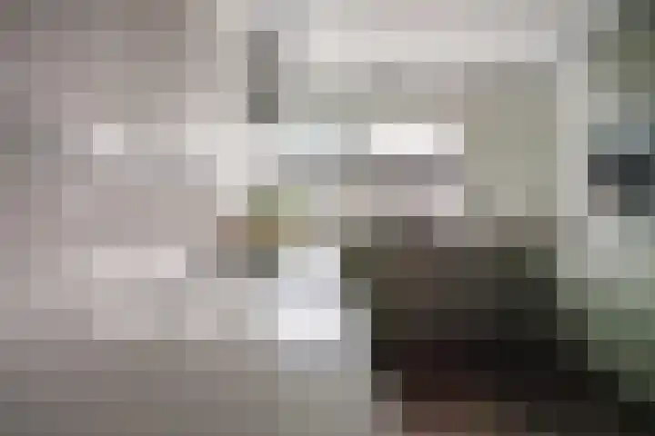 de Lingert 6025 Wijchen thumbnail 8